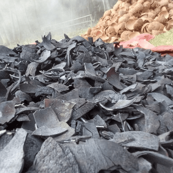 Coconut Shell Charcoal Manufacturer